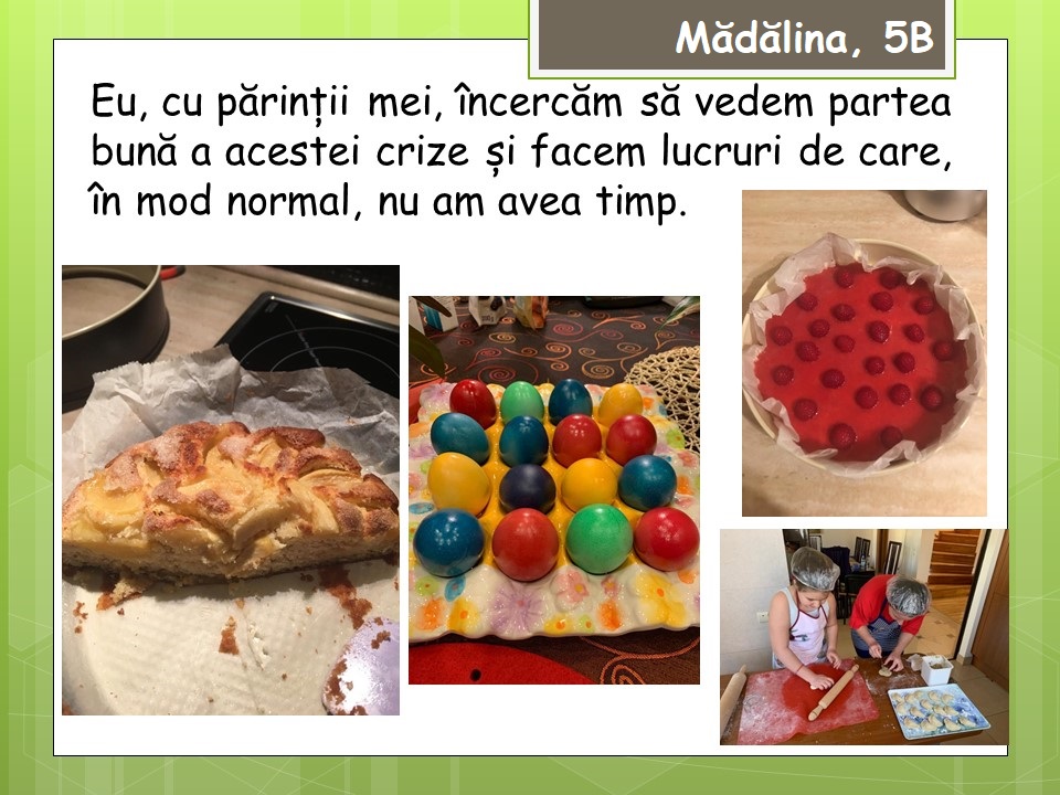 Imagine 1 din galerie