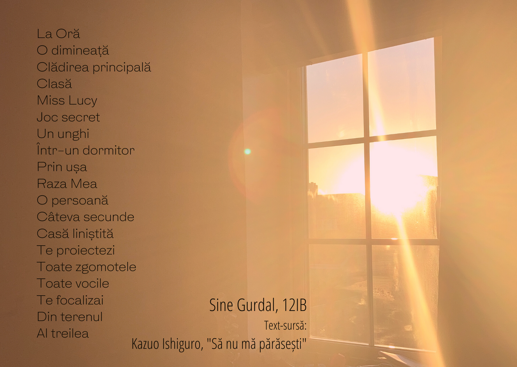 Imagine 3 din galerie