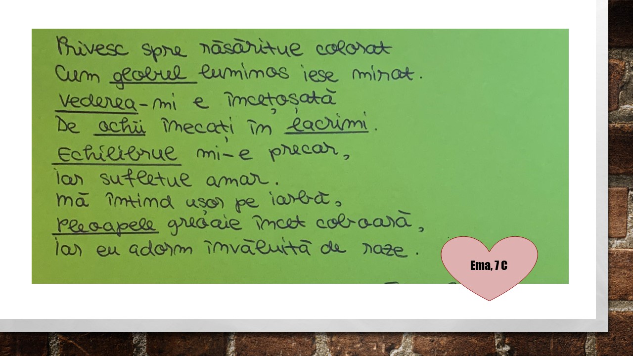 Imagine 2 din galerie