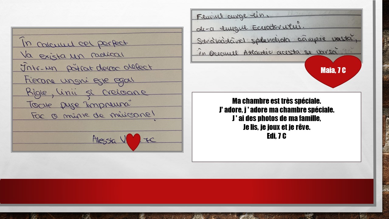Imagine 7 din galerie