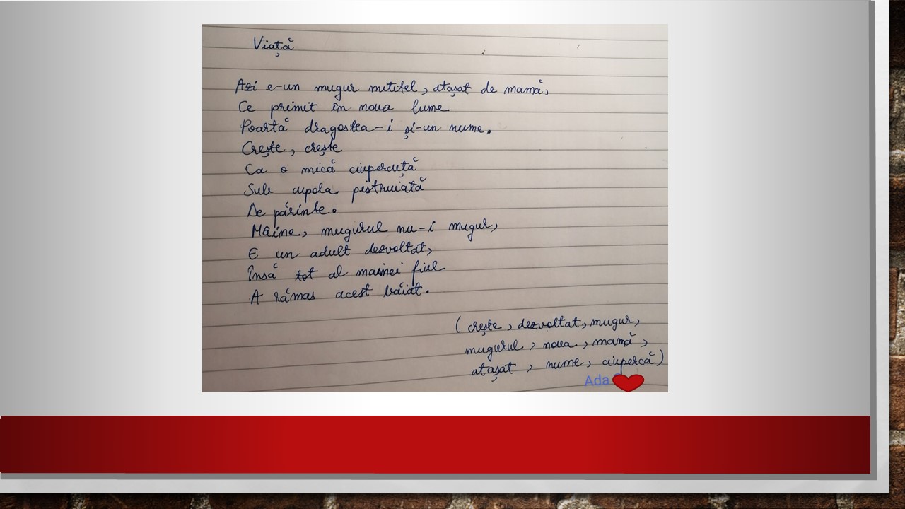 Imagine 6 din galerie