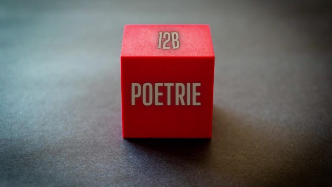 Poezie + Geometrie = Poetrie