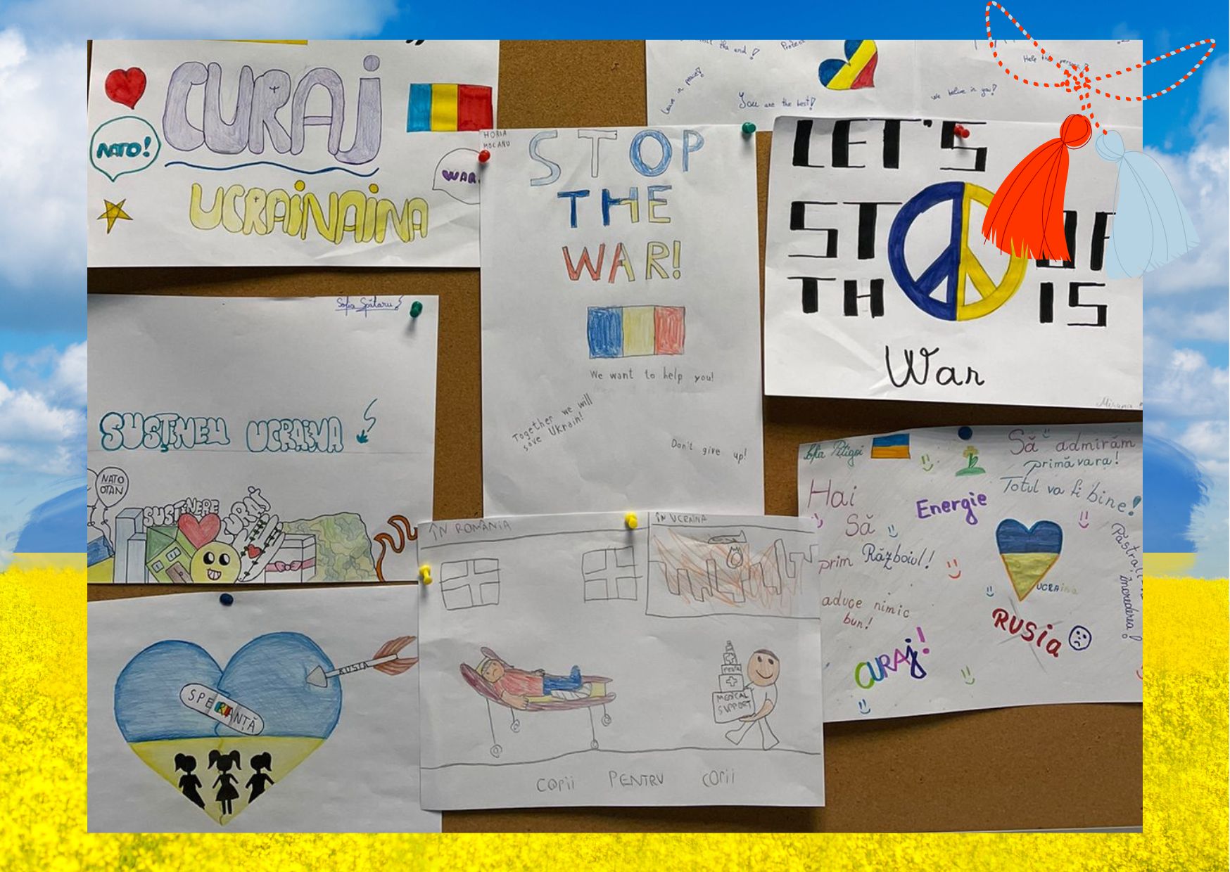 Imagine 1 din galerie