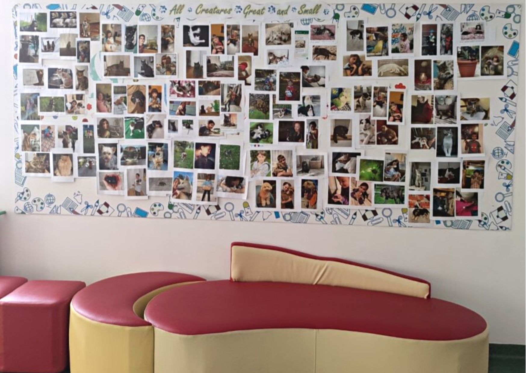 Imagine 1 din galerie