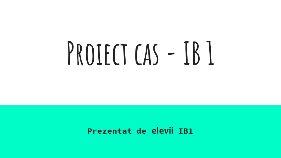 Imagine 1 din galerie