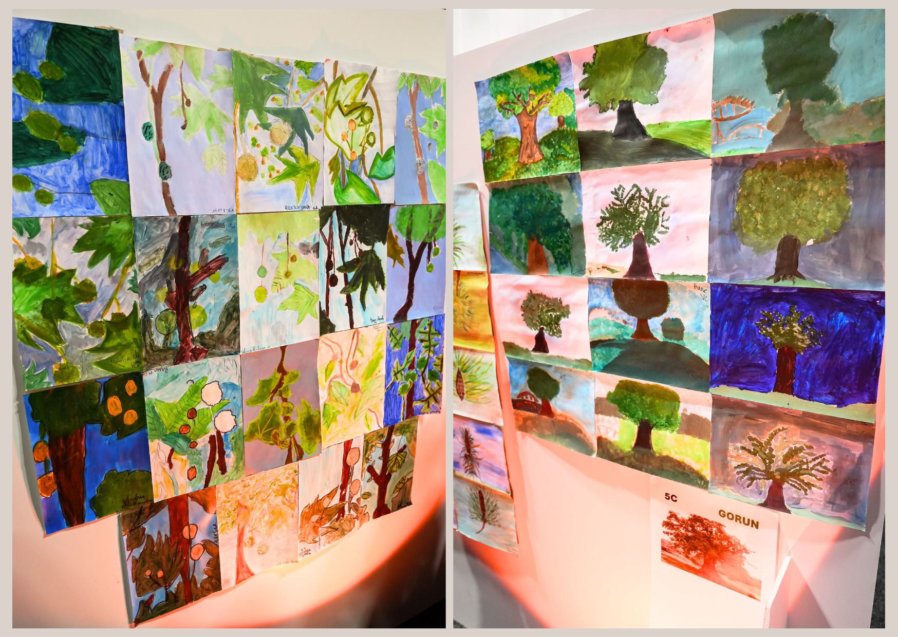 Imagine 3 din galerie