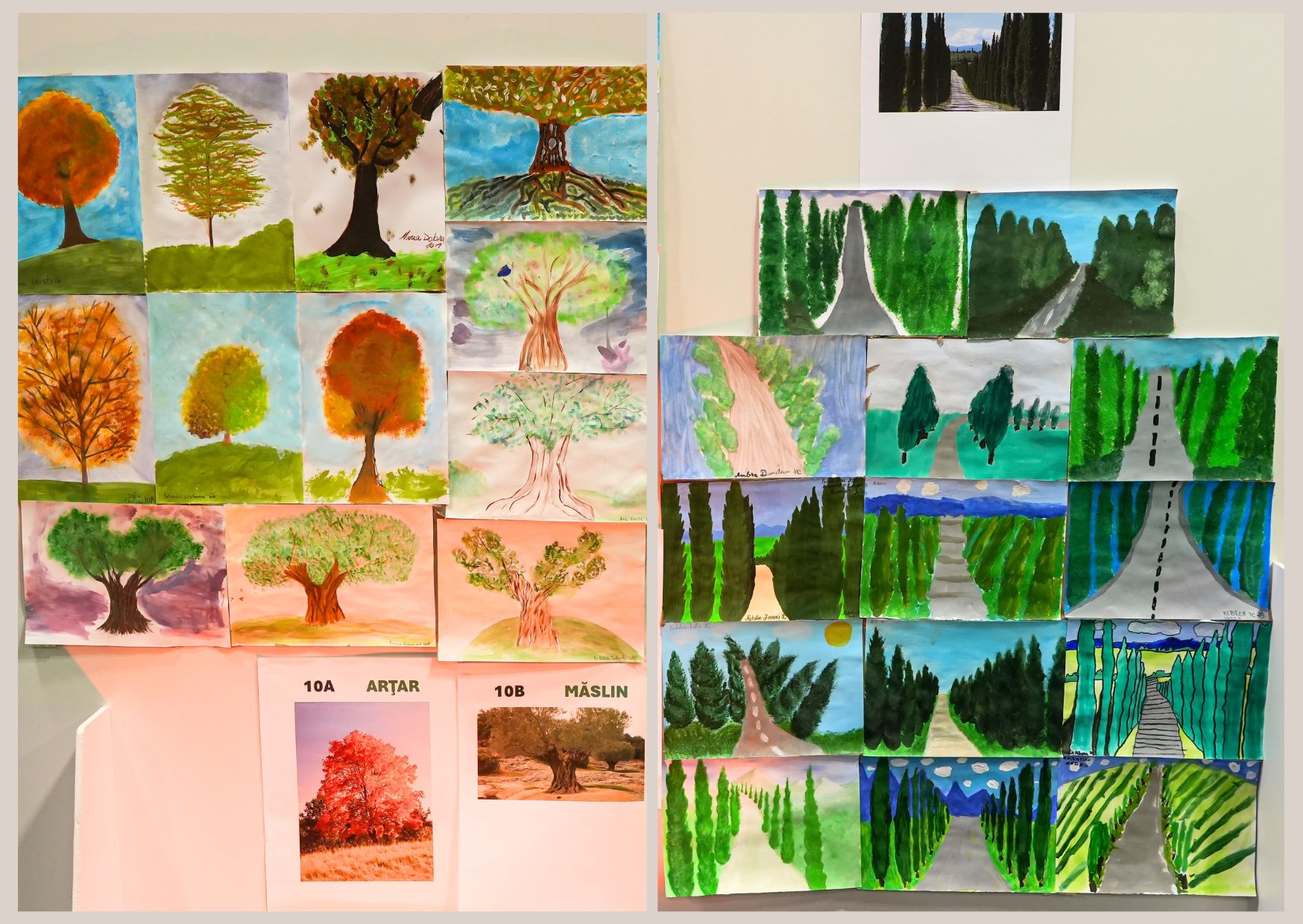 Imagine 5 din galerie