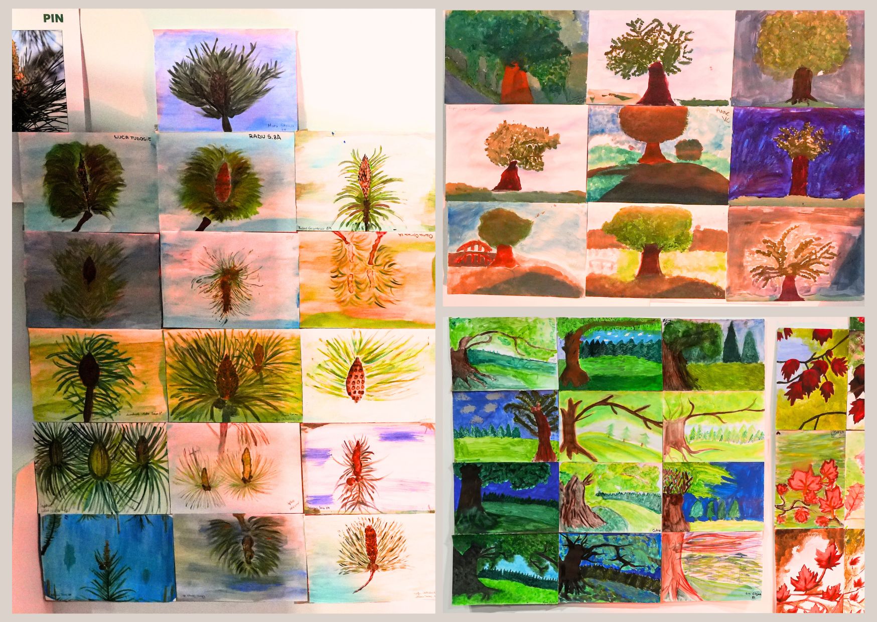 Imagine 6 din galerie