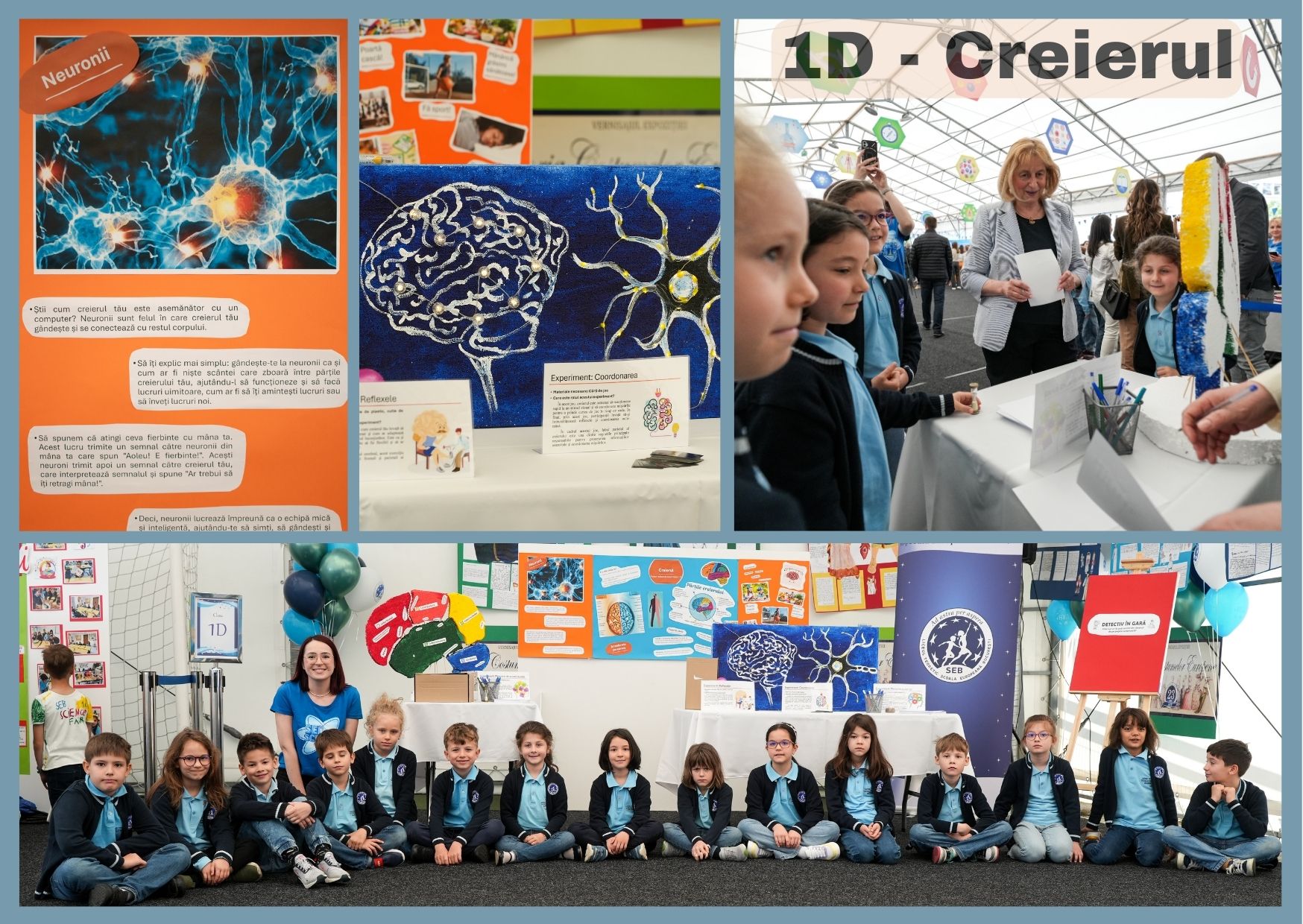 Imagine 8 din galerie