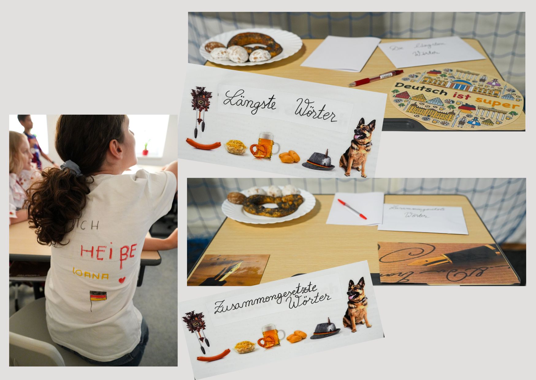 Imagine 4 din galerie