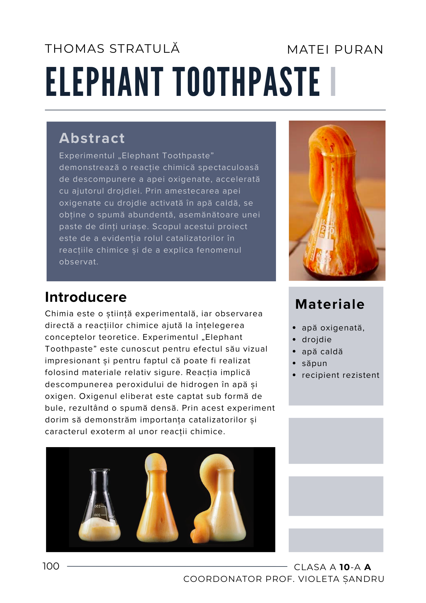 Imagine 11 din galerie