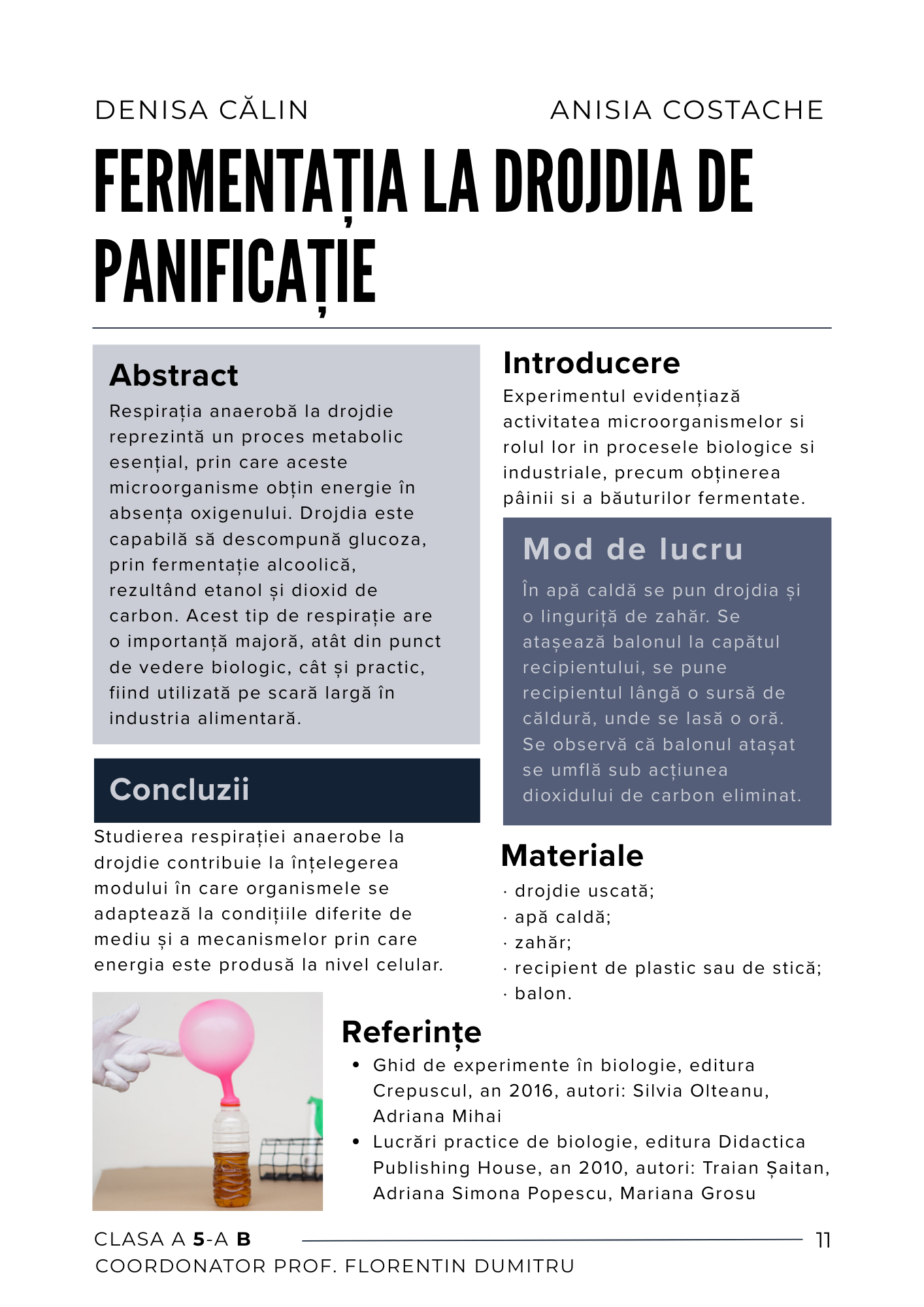 Imagine 5 din galerie