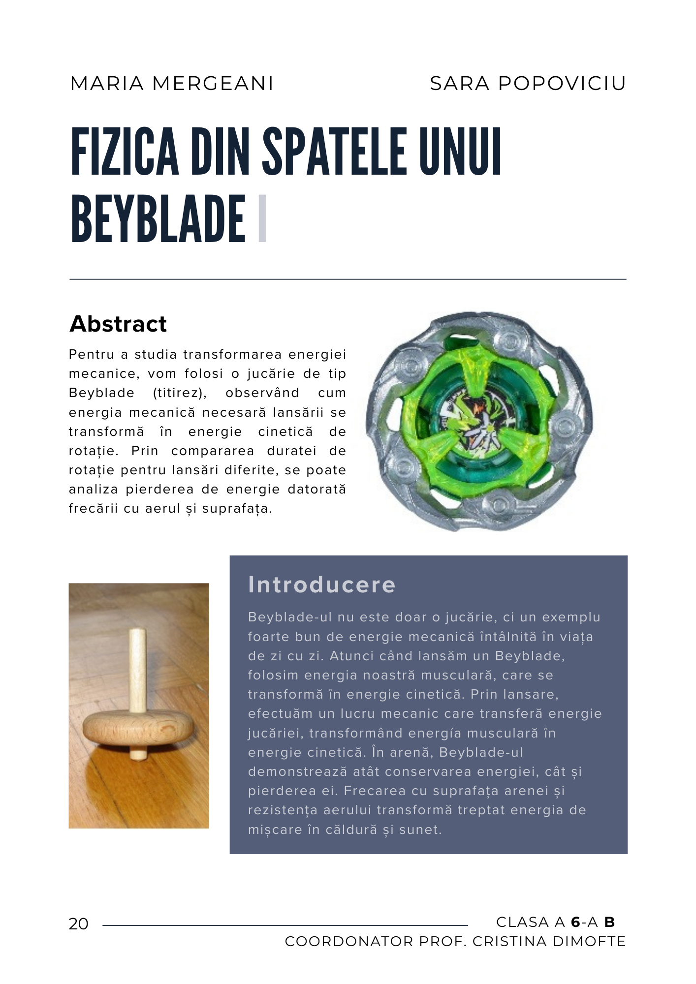 Imagine 6 din galerie