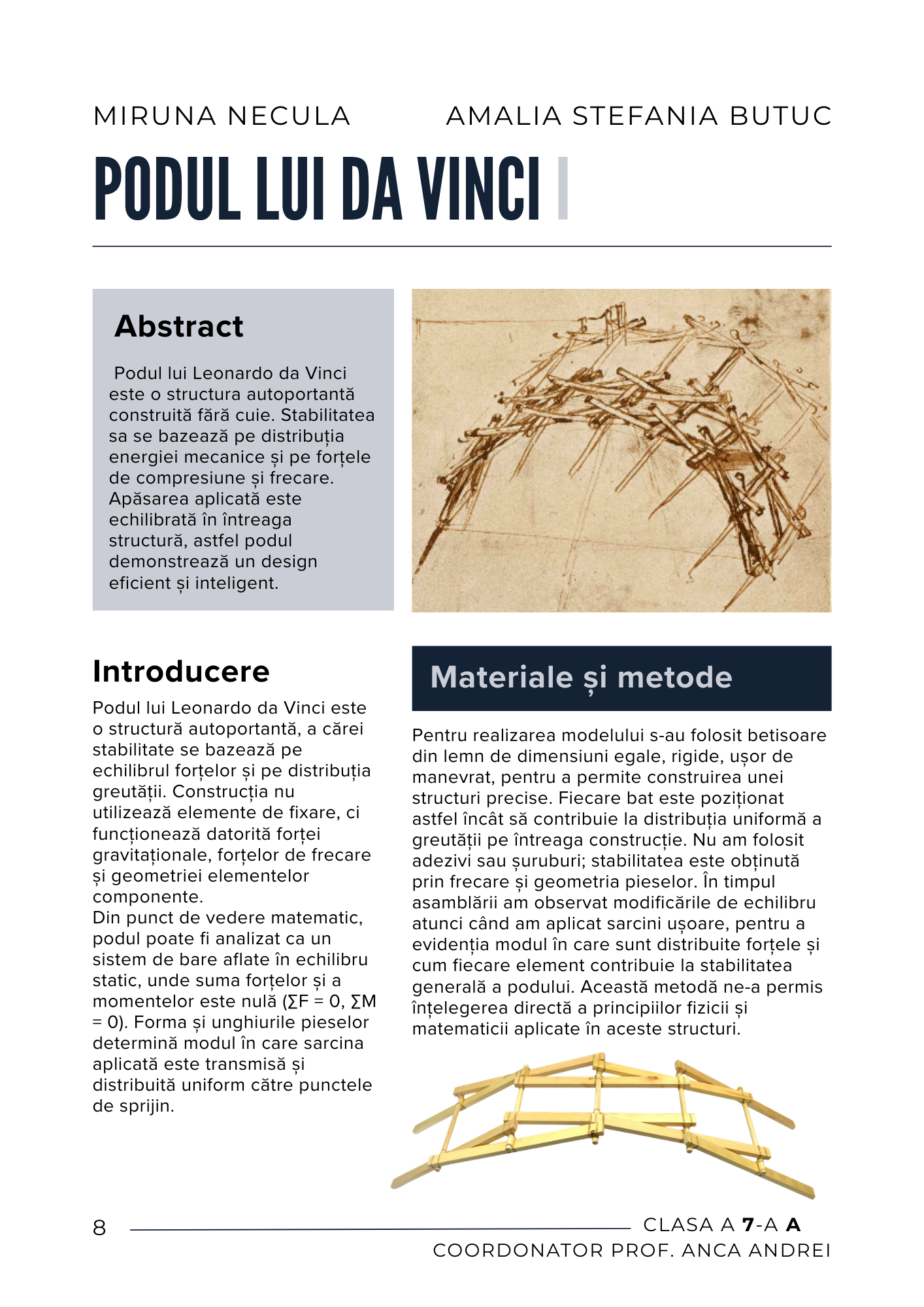 Imagine 3 din galerie